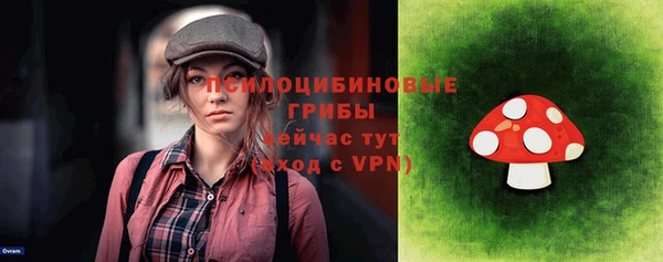 ПСИЛОЦИБИНОВЫЕ ГРИБЫ Дмитриев