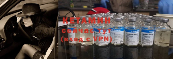 ПСИЛОЦИБИНОВЫЕ ГРИБЫ Дмитриев