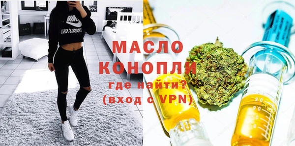 ПСИЛОЦИБИНОВЫЕ ГРИБЫ Дмитриев