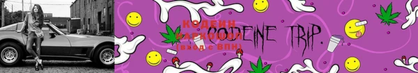 бошки Дмитров