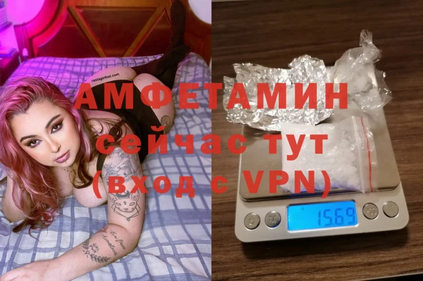 ПСИЛОЦИБИНОВЫЕ ГРИБЫ Дмитриев