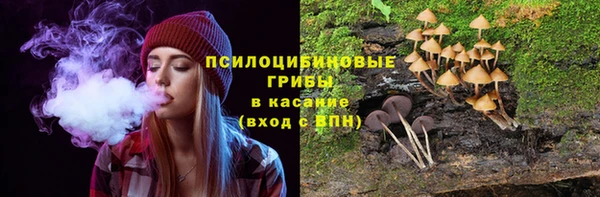 МДПВ Дмитровск