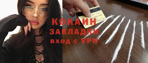 ПСИЛОЦИБИНОВЫЕ ГРИБЫ Дмитриев