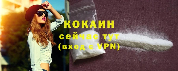ПСИЛОЦИБИНОВЫЕ ГРИБЫ Дмитриев