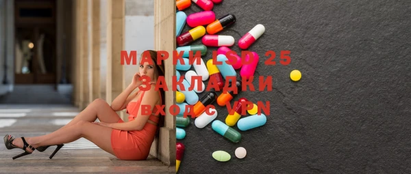 ПСИЛОЦИБИНОВЫЕ ГРИБЫ Дмитриев
