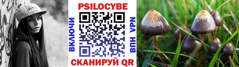 Галлюциногенные грибы мицелий  Купить закладки  Ахтубинск 