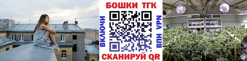 Купить закладки  Ахтубинск  Бошки марихуана THC 21% 